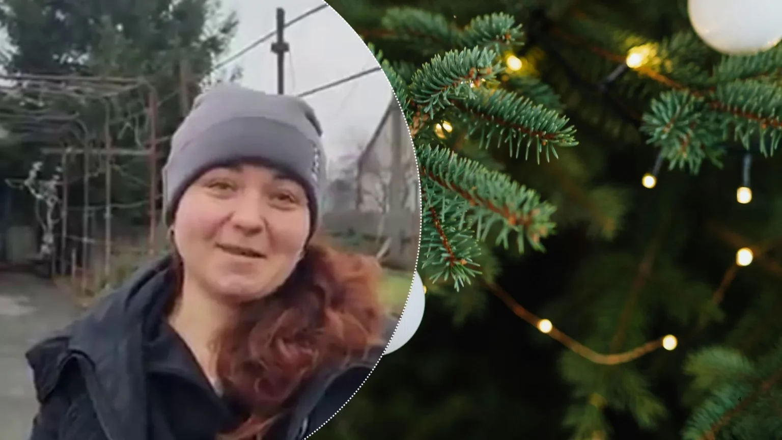 Родина з Павлоградщини подарувала містянам ялинку (ВІДЕО)