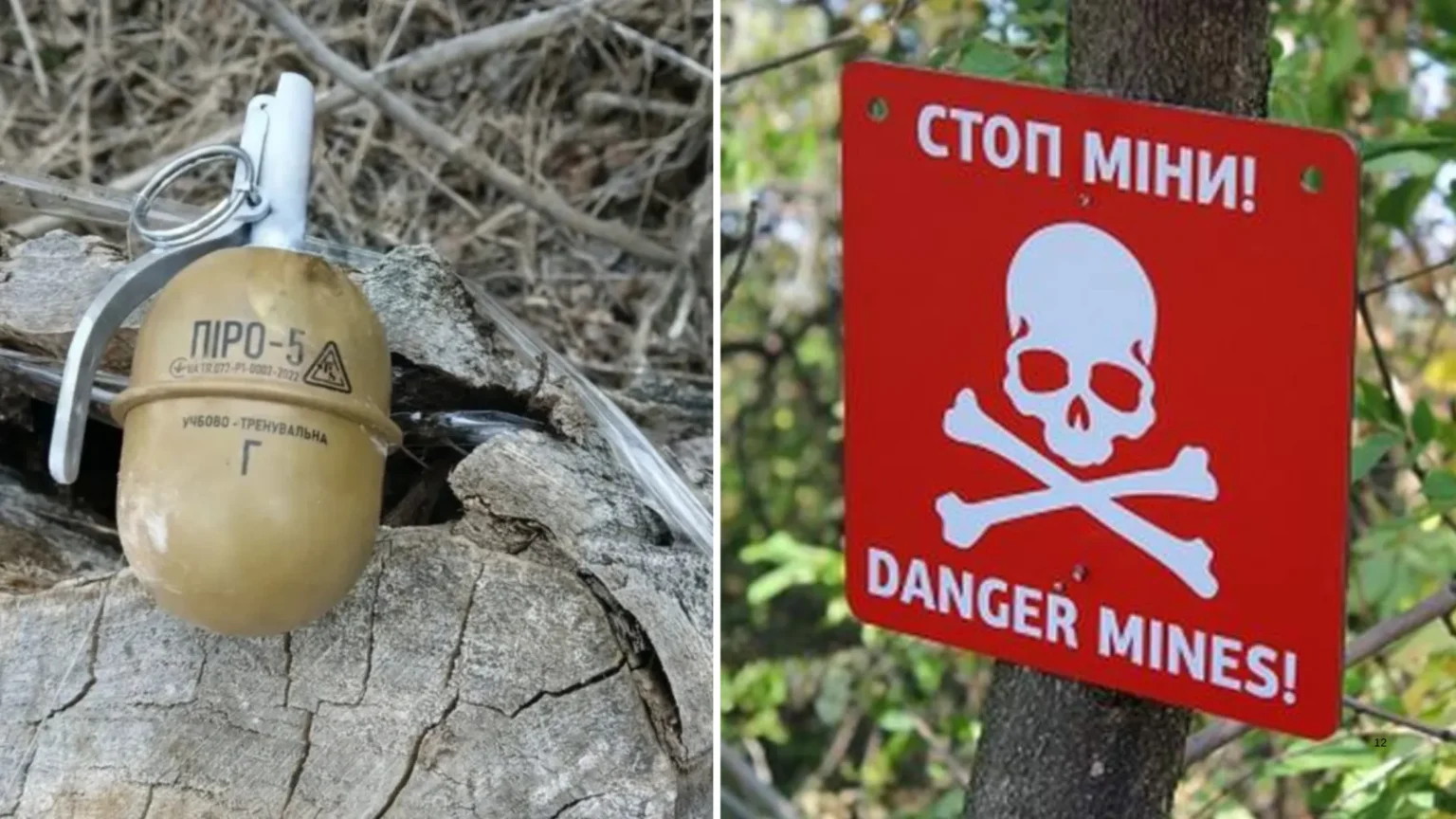 «Розтяжка» в лісі: у Самарі перевірили підозрілу знахідку