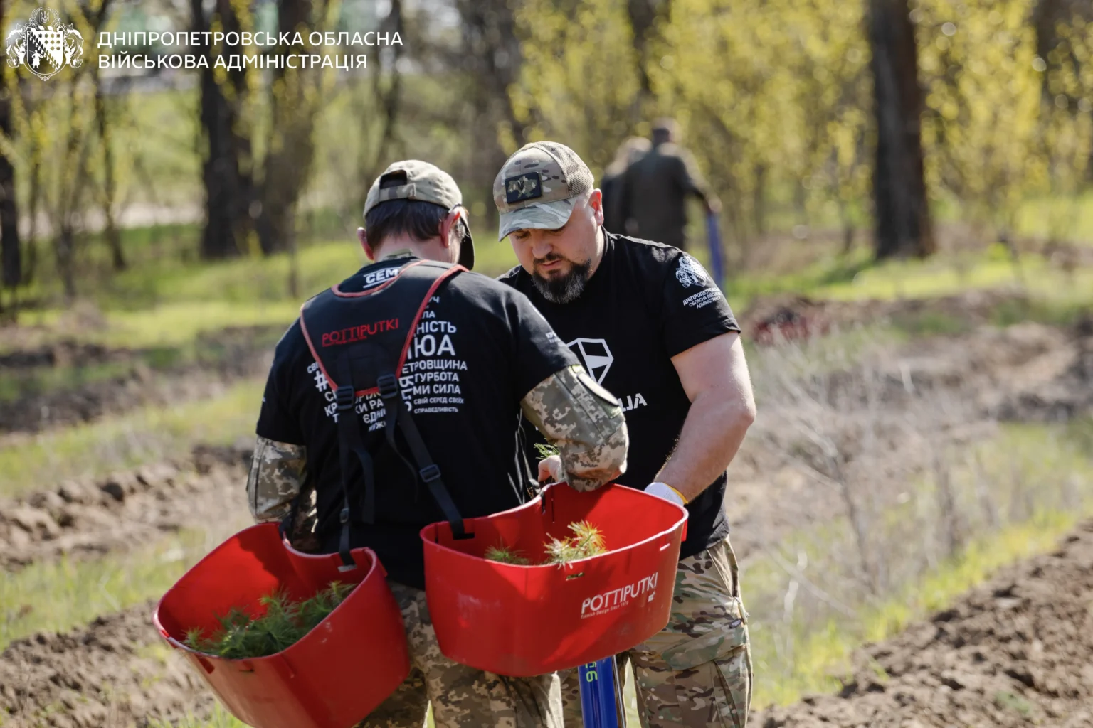 На Дніпропетровщині ветерани та лісники висаджували дерева (ВІДЕО)