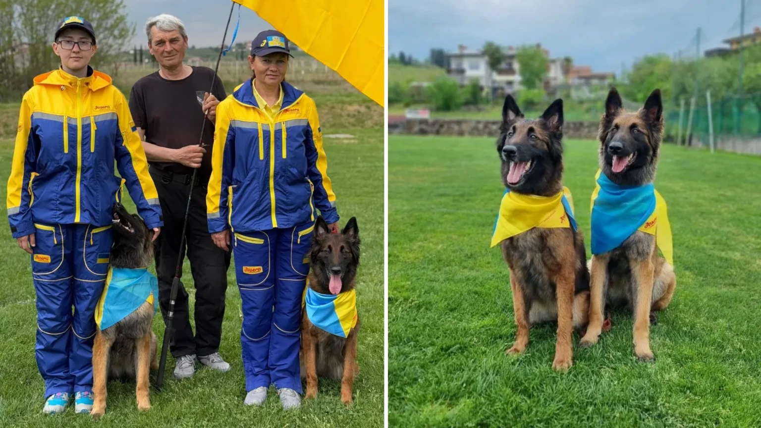 Павлоградські кінологині представили Україну на чемпіонаті світу в Словенії