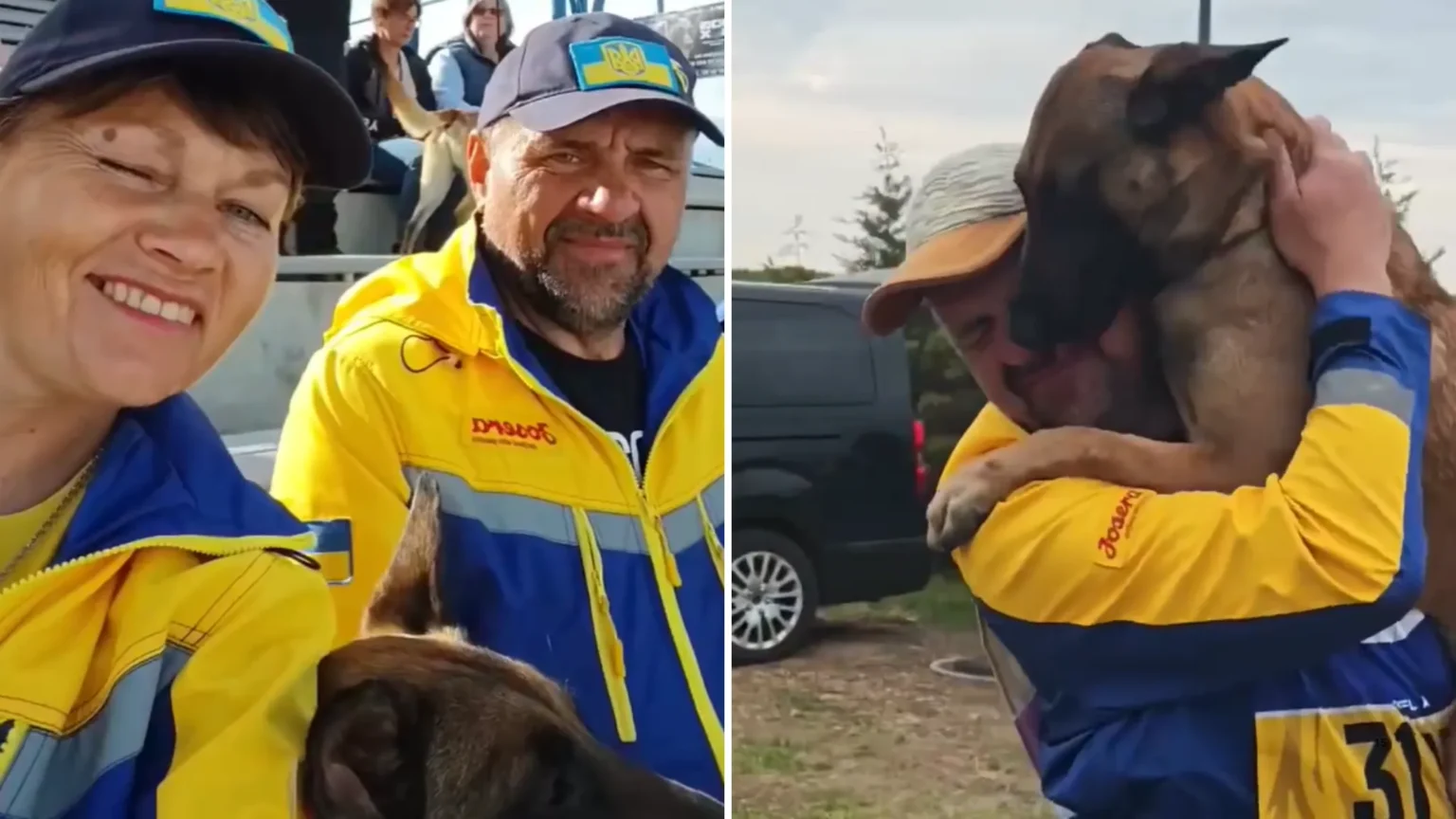 Собака-рятувальниця з Павлограда виборола срібло на чемпіонаті світу