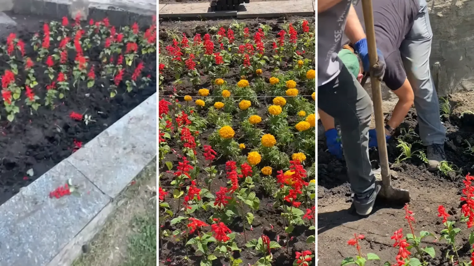 “Нам потрібні такі енергійні люди”: в Павлограді вандалів запрошують на роботу