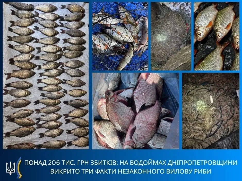 Хотів наловити риби, а отримав протокол: біля Павлограда викрили браконьєра