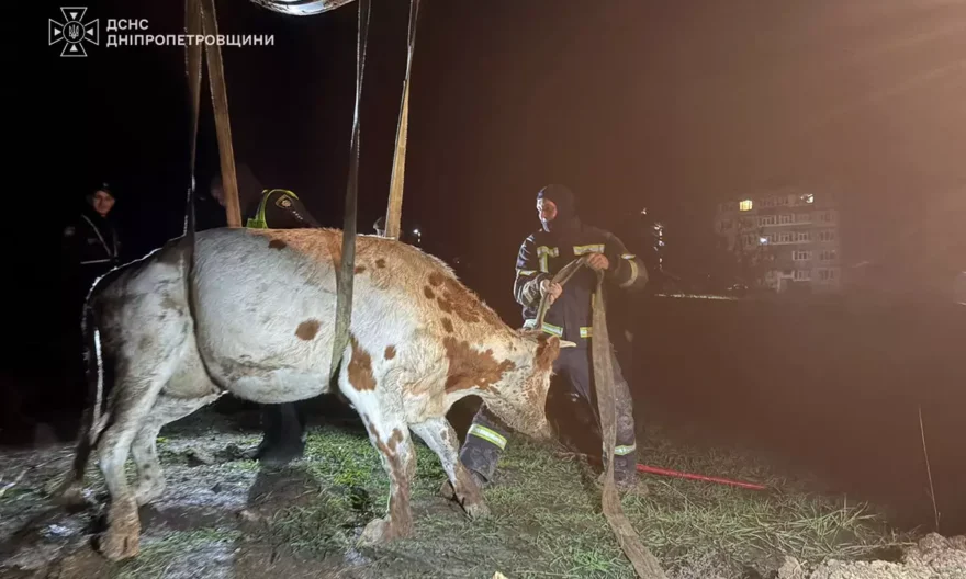 У Тернівці працівники ДСНС врятували корову