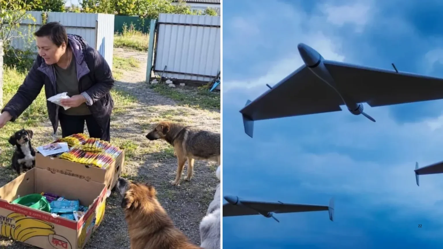 На Дніпропетровщині російський дрон спалив будинок зооволонтерки: жінка з важкими опіками в реанімації